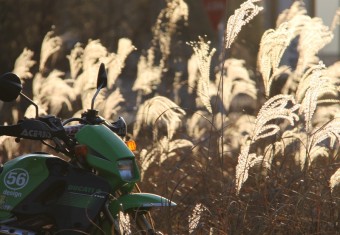 2015win-8