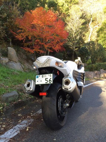 2016fall-4