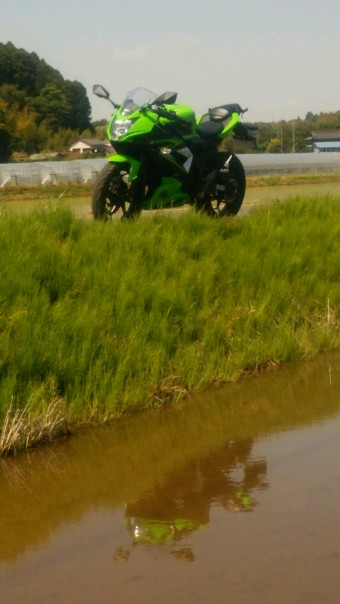 2016spr-2