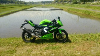 2016spr-4