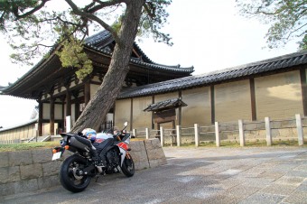 IMG_8379