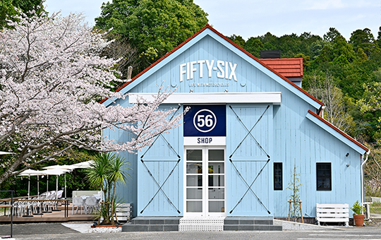 56design 本店